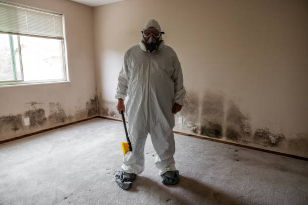 Best Residential Mold Removal  in Elgin, MN